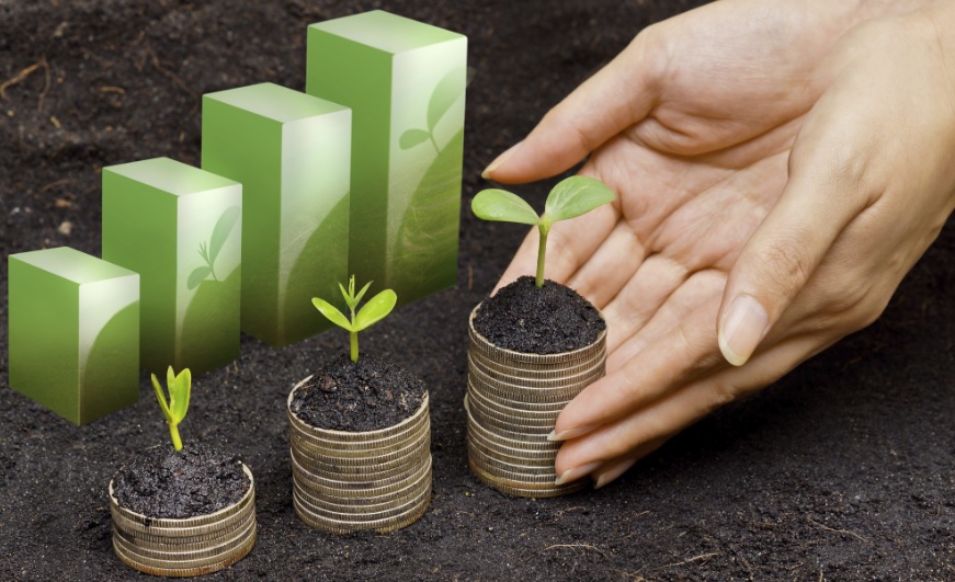 Inversiones sostenibles y responsables: guía para principiantes